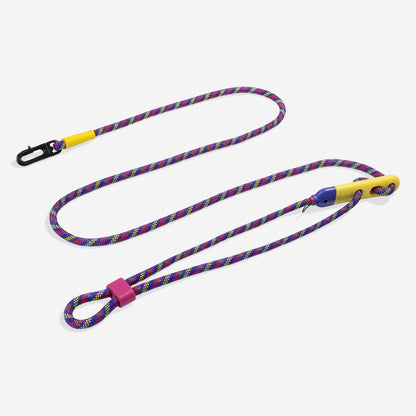Zee.Dog x FARM RIO Hands-Free Dog Lead - Samba