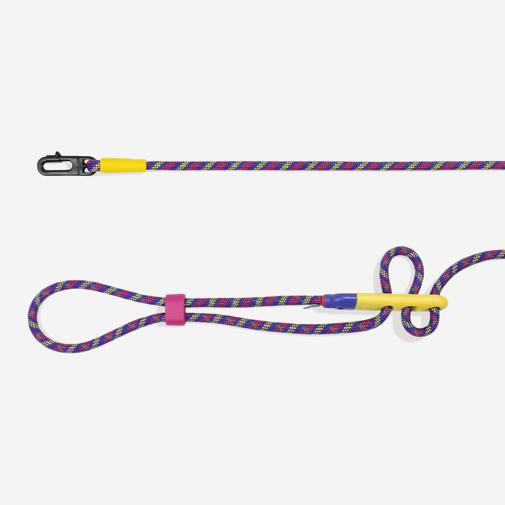 Zee.Dog x FARM RIO Hands-Free Dog Lead - Samba