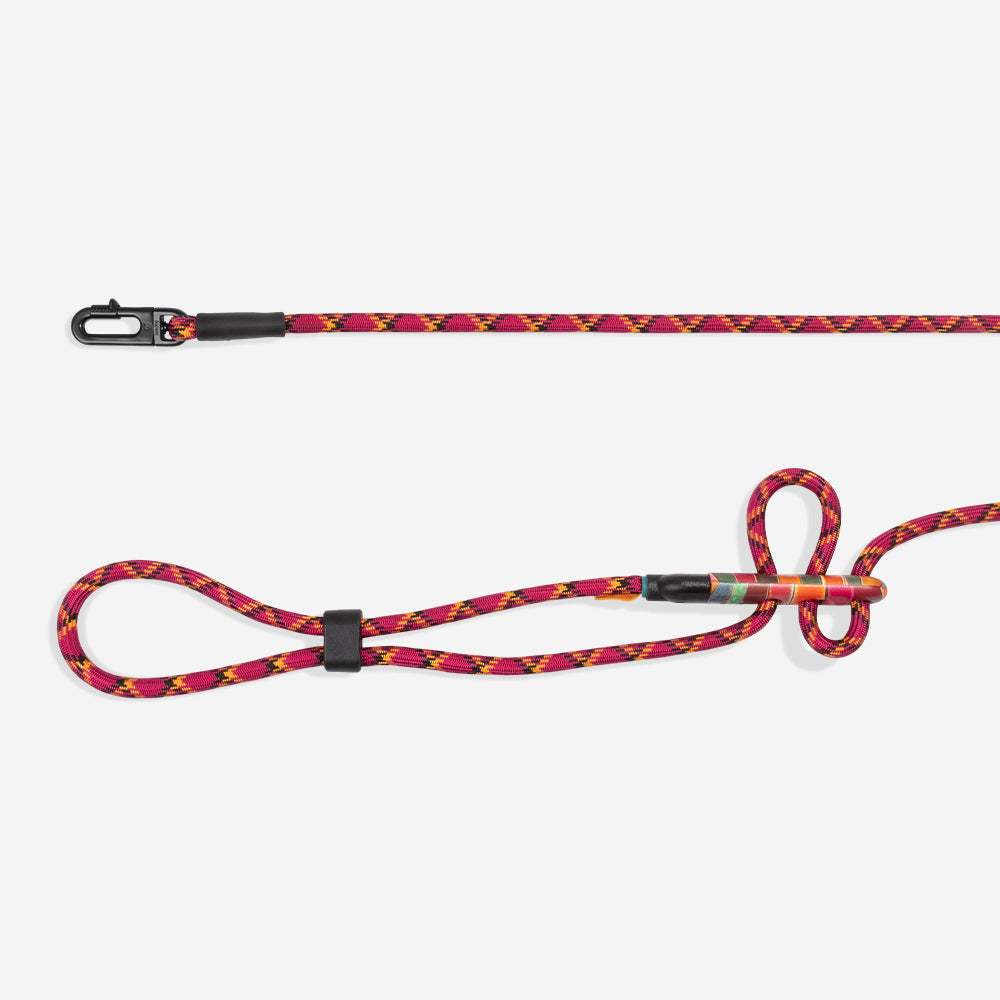 Zee.Dog x FARM RIO Hands-Free Dog Lead - Selva