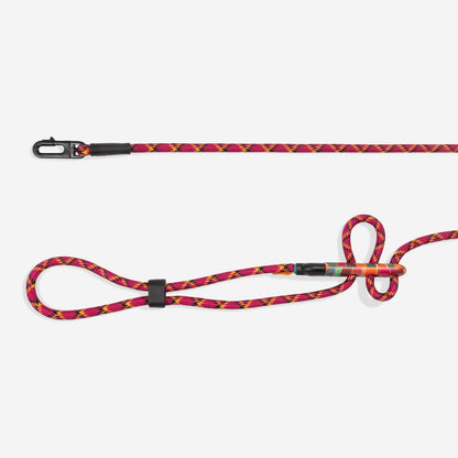 Zee.Dog x FARM RIO Hands-Free Dog Lead - Selva