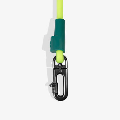 Dog leash with green clip and carabiner on a white background