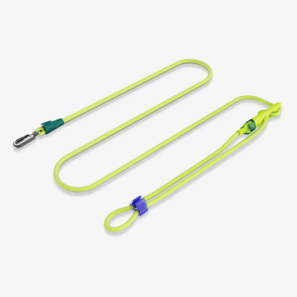Yellow dog leash with green clips on a white background