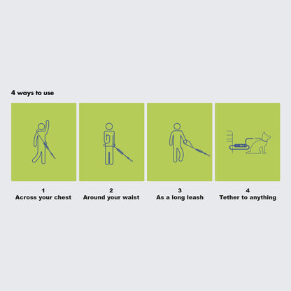 Diagram showing four ways to use a leash on a light gray background