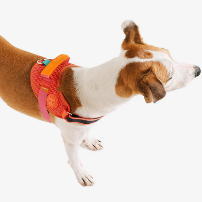 Zee.Dog Gazelle FlyHarness