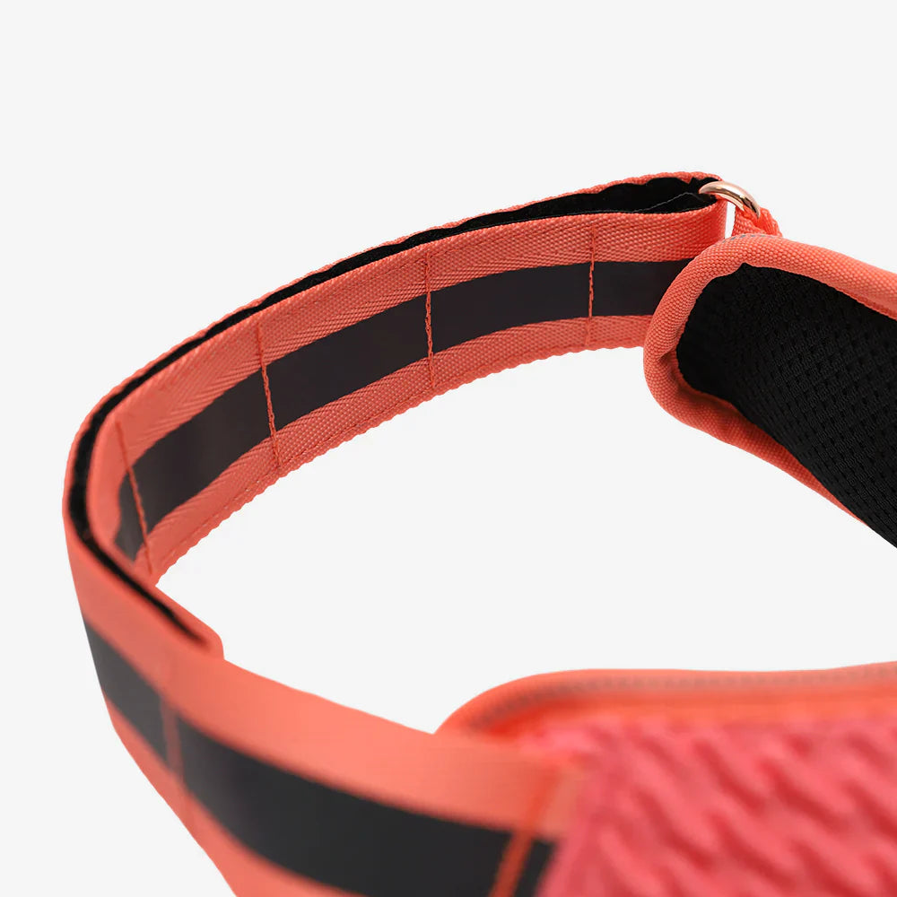 Zee.Dog Gazelle FlyHarness