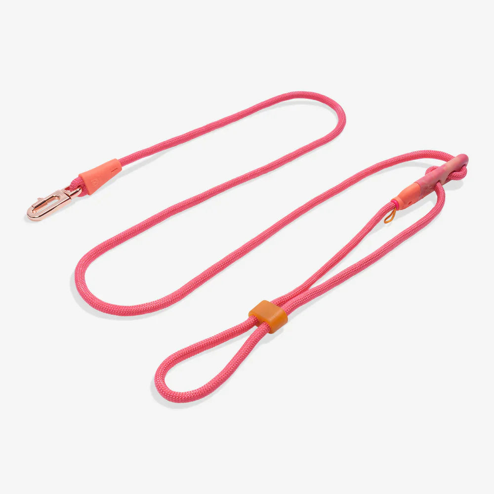 Pink dog leash with orange clips on a white background