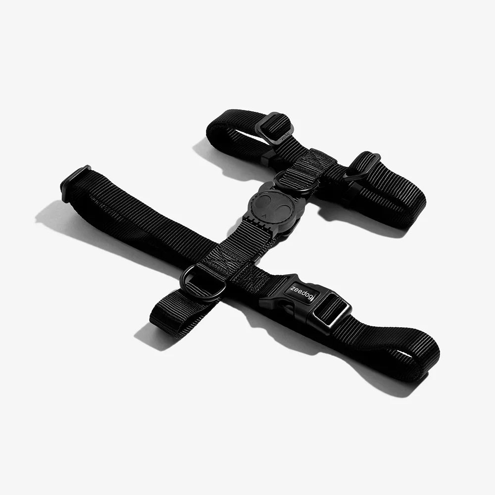 Black harness on a white background