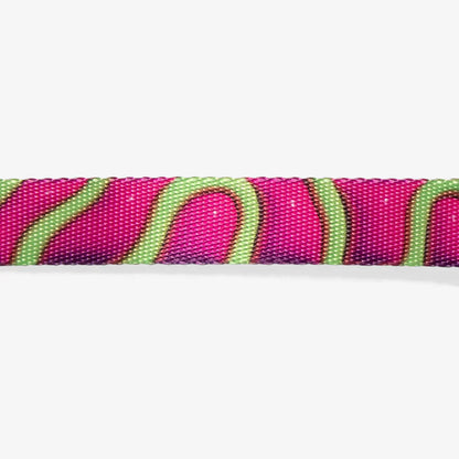 Zee.Dog H3D Dog Collar - Jelly