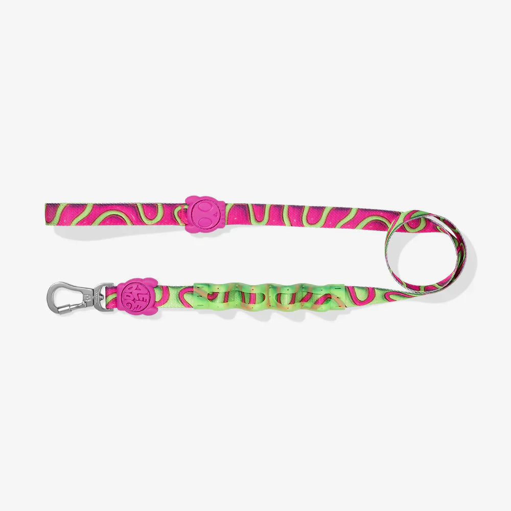 Zee.Dog Ruff Leash 2.0 Dog Lead - H3D Jelly