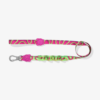Zee.Dog Ruff Leash 2.0 Dog Lead - H3D Jelly