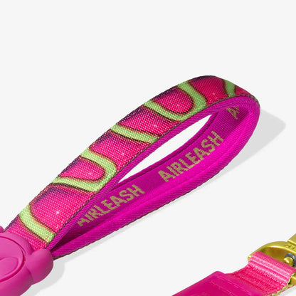Zee.Dog Airleash Dog Lead - H3D Jelly