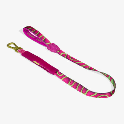 Zee.Dog Airleash Dog Lead - H3D Jelly