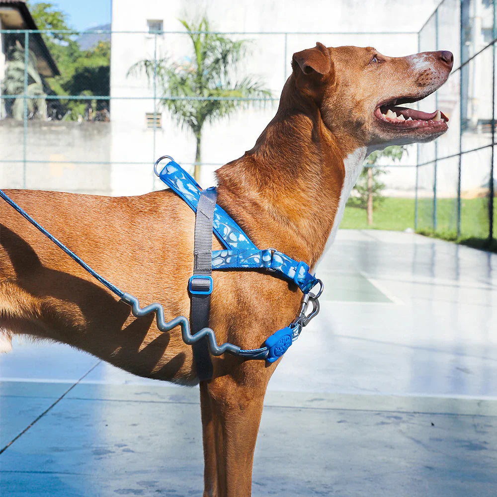 Zee.Dog SofterWalk Harness - H3D Fly