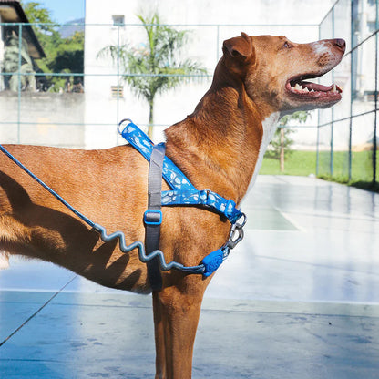 Zee.Dog SofterWalk Harness - H3D Fly