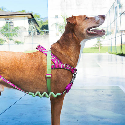 Zee.Dog SofterWalk Harness - H3D Jelly