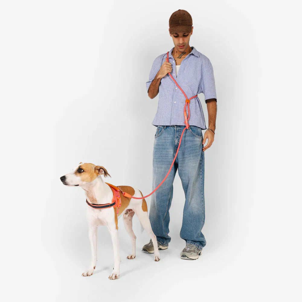 Person holding a dog leash with a dog on a white background