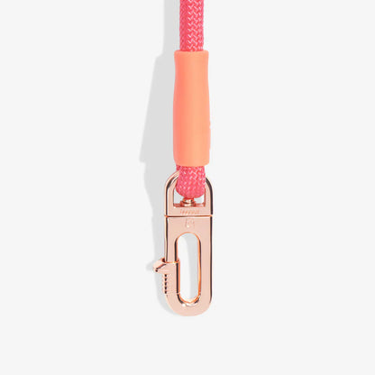 Pink and orange dog leash with rose gold clip on a white background
