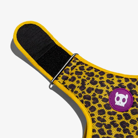 Zee.Dog Adjustable Air Mesh Harness for Dogs - Honey