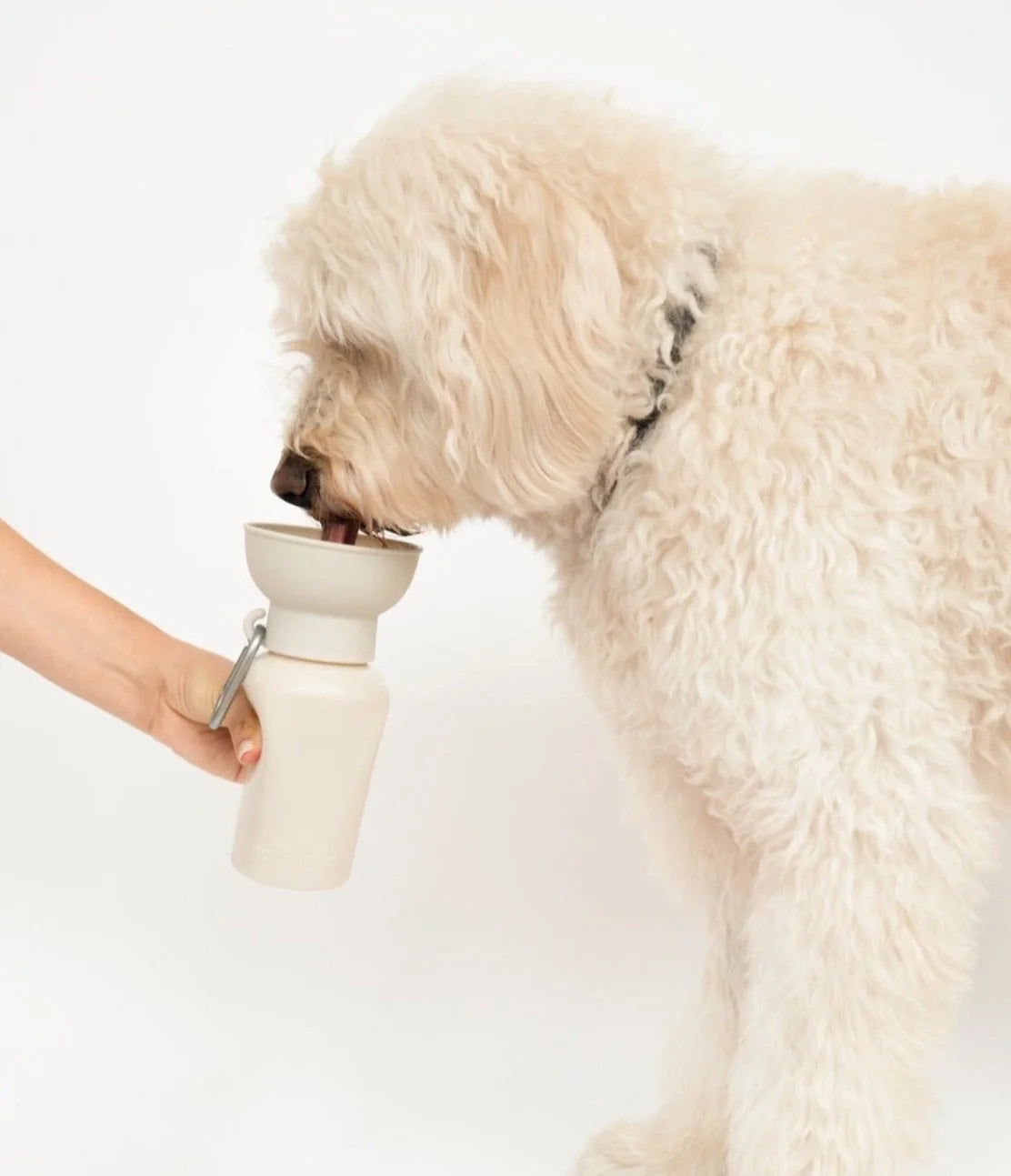 Springland Travel Water Bowl Flip Top Water Bottle for Dogs