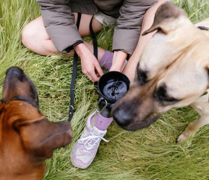 Springland Travel Water Bowl Flip Top Water Bottle for Dogs