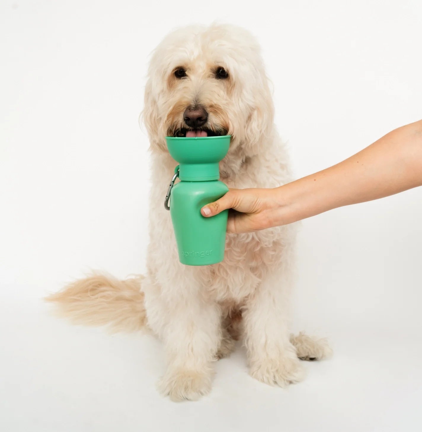Springland Travel Water Bowl Flip Top Water Bottle for Dogs