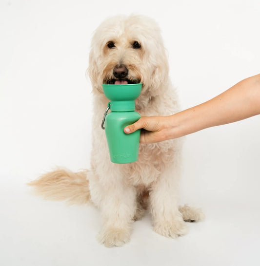 Springland Travel Water Bowl Flip Top Water Bottle for Dogs