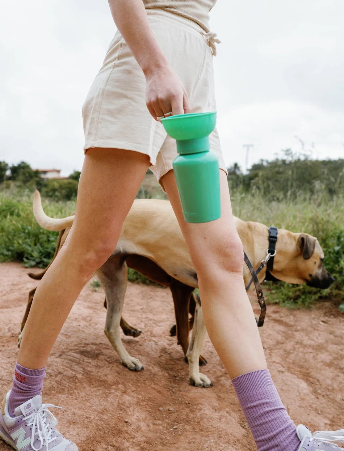 Springland Travel Water Bowl Flip Top Water Bottle for Dogs