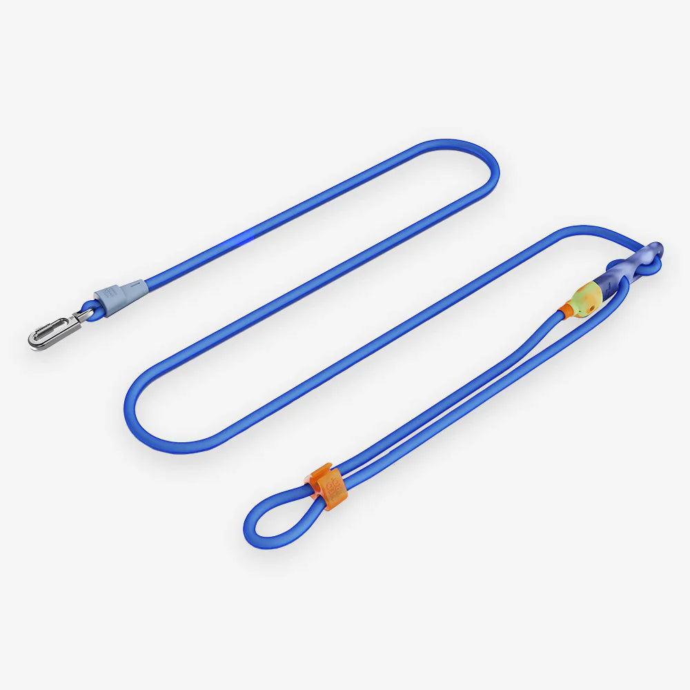 Blue dog leash with a clip on a white background