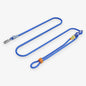 Blue dog leash with a clip on a white background