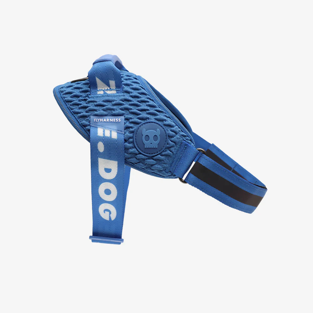 blue harness on a white background