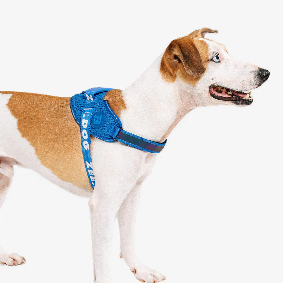 Zee.Dog Slam Dunk FlyHarness