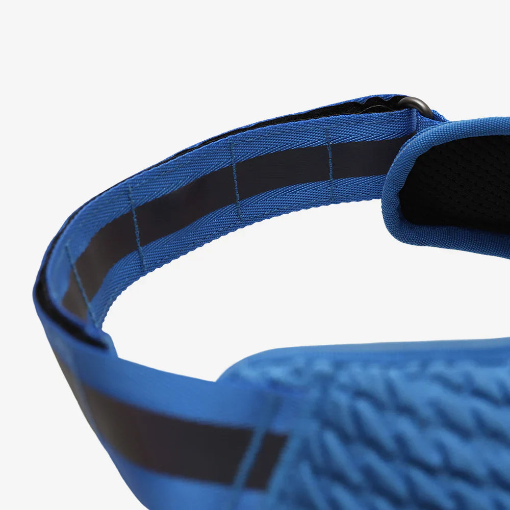 Blue harness with black stripes on a white background