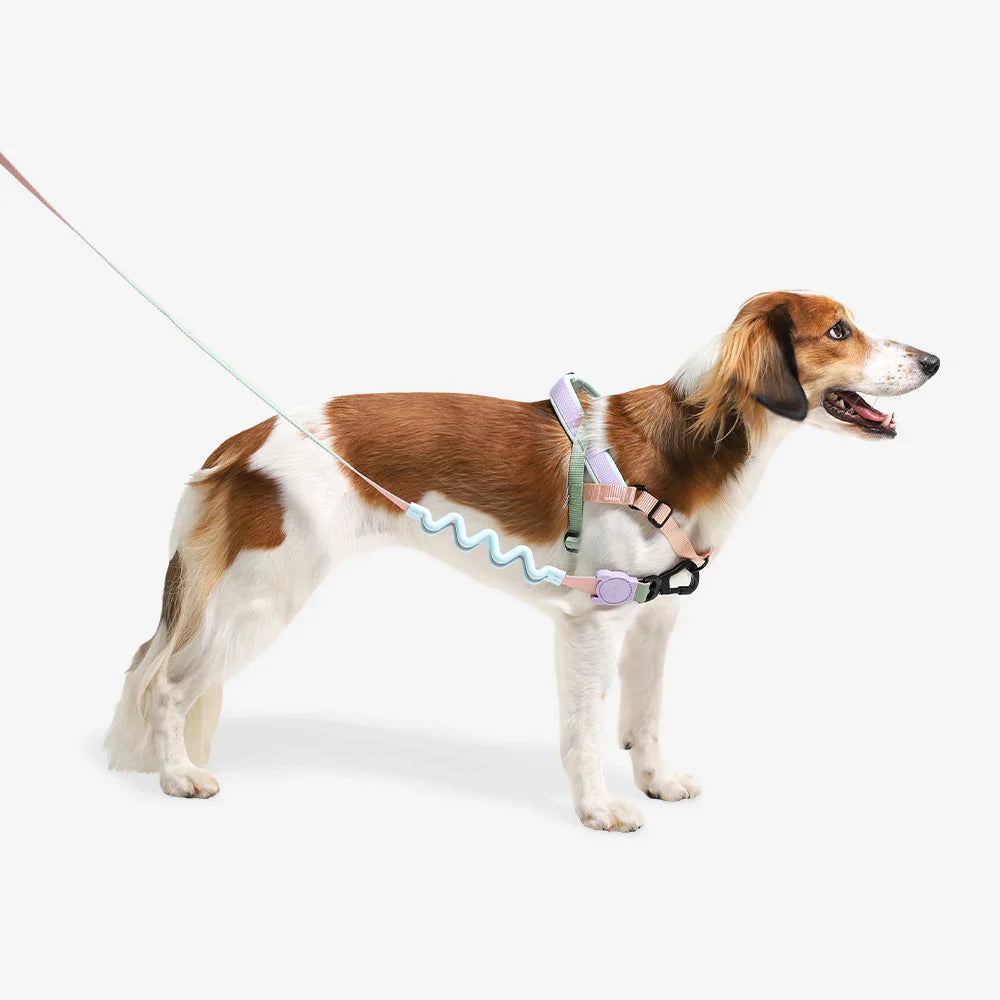 Zee.Dog Peach SofterWalk Harness