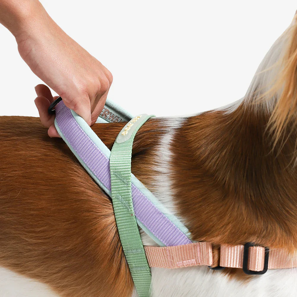 Zee.Dog Peach SofterWalk Harness