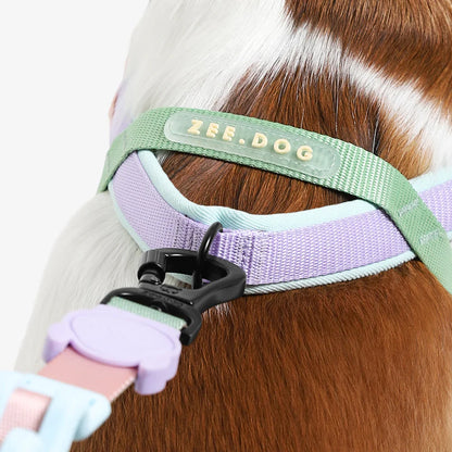 Zee.Dog Peach SofterWalk Harness