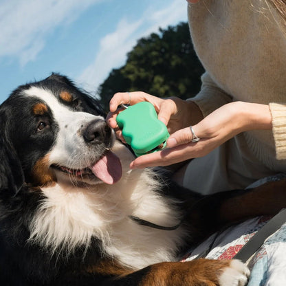 Springland Silicone Dog Treat Dispenser Pouch