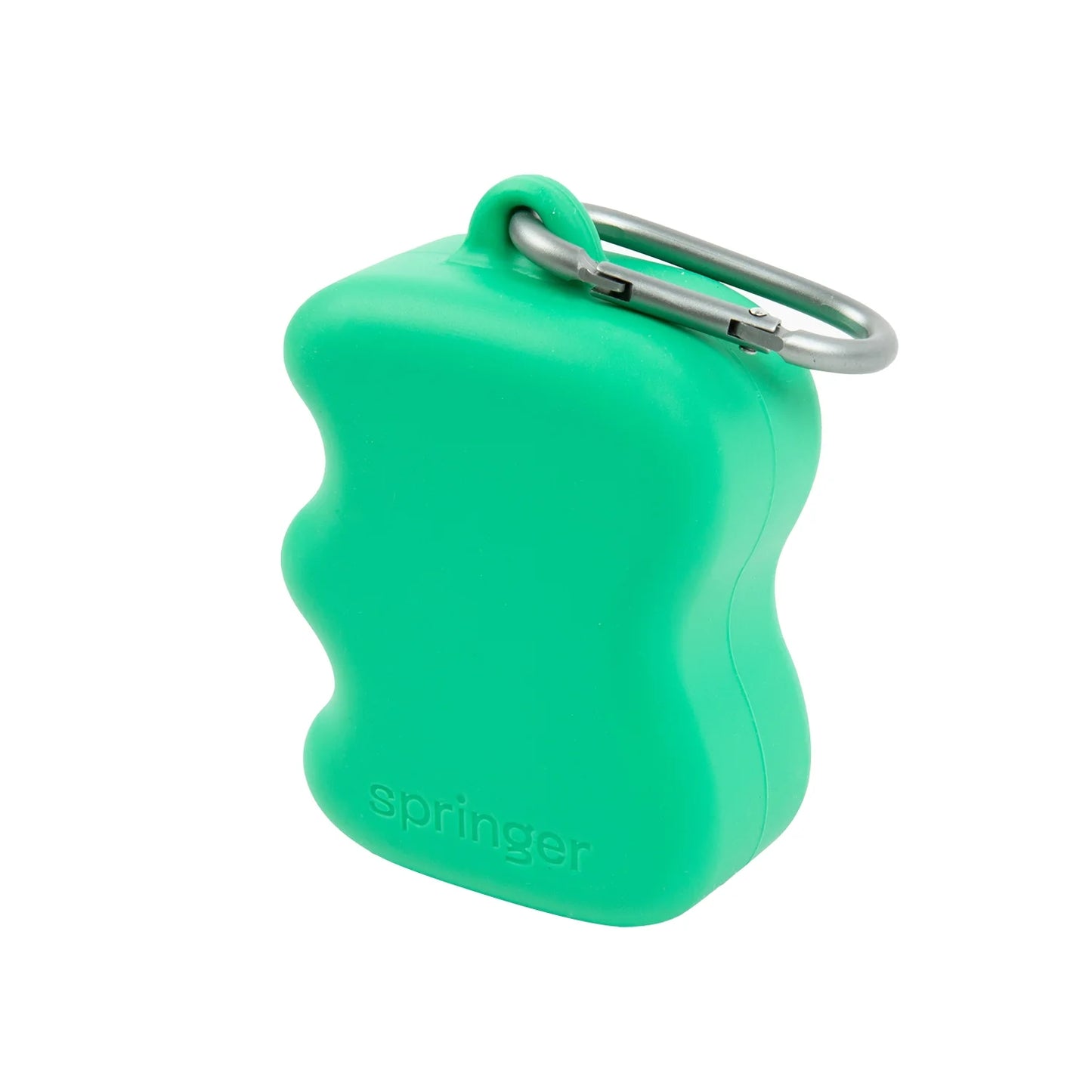 Springland Silicone Dog Treat Dispenser Pouch