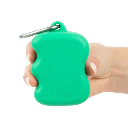 Springland Silicone Dog Treat Dispenser Pouch