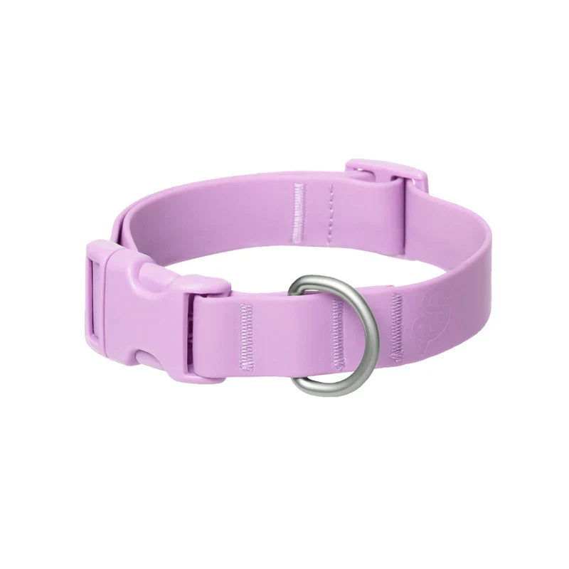 lilac dog collar on white background