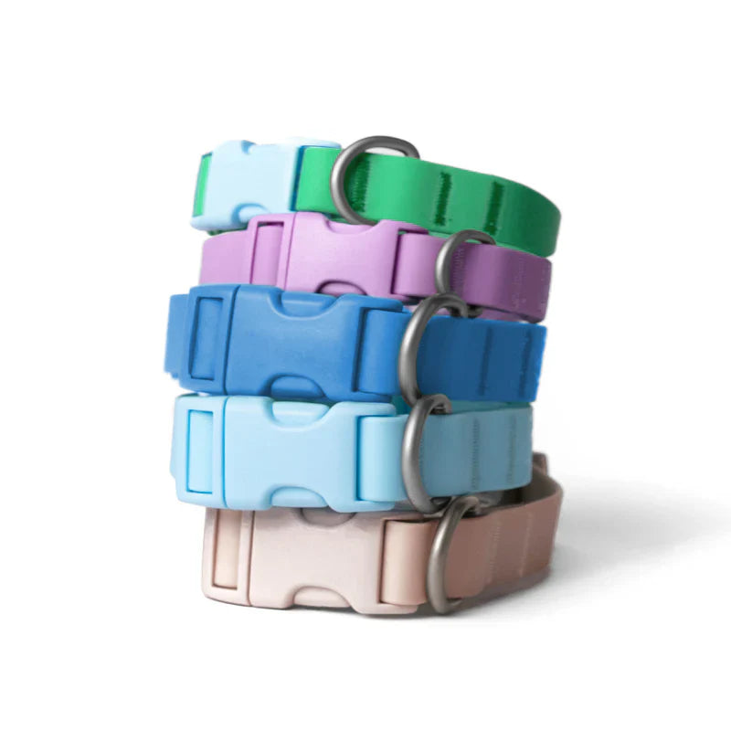 stack of colourful collars