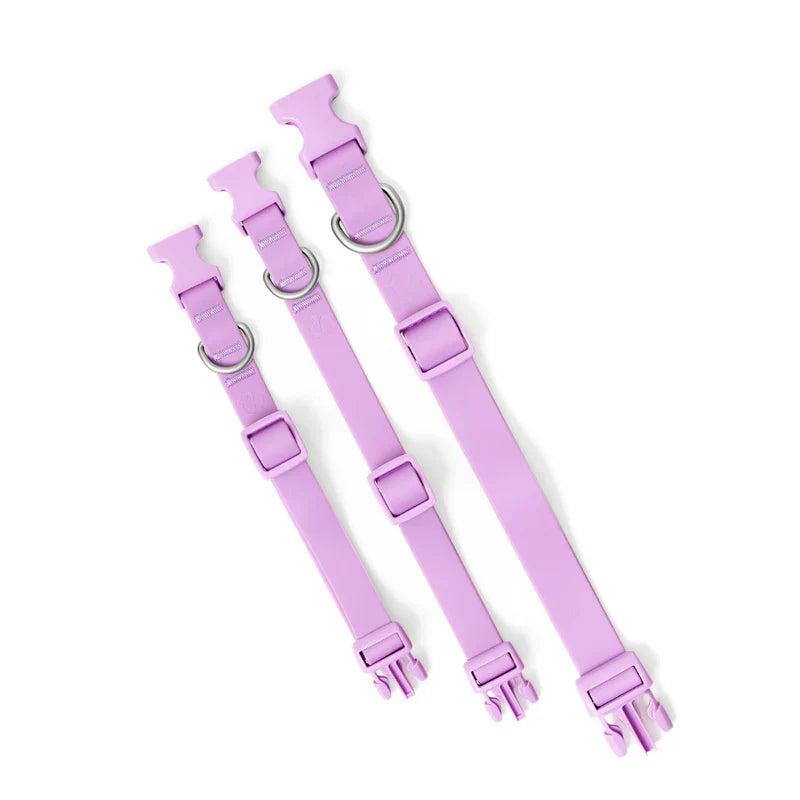 3 lilac collars laid beside one another