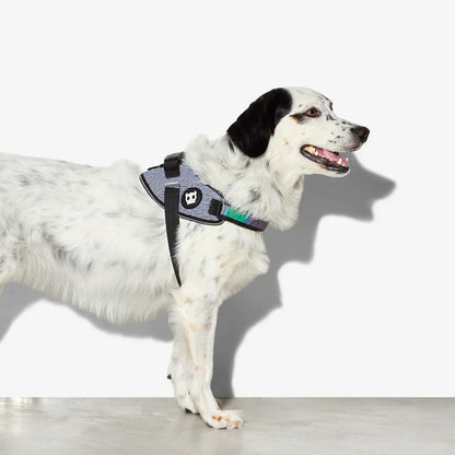 Zee.Dog Urban FlyHarness
