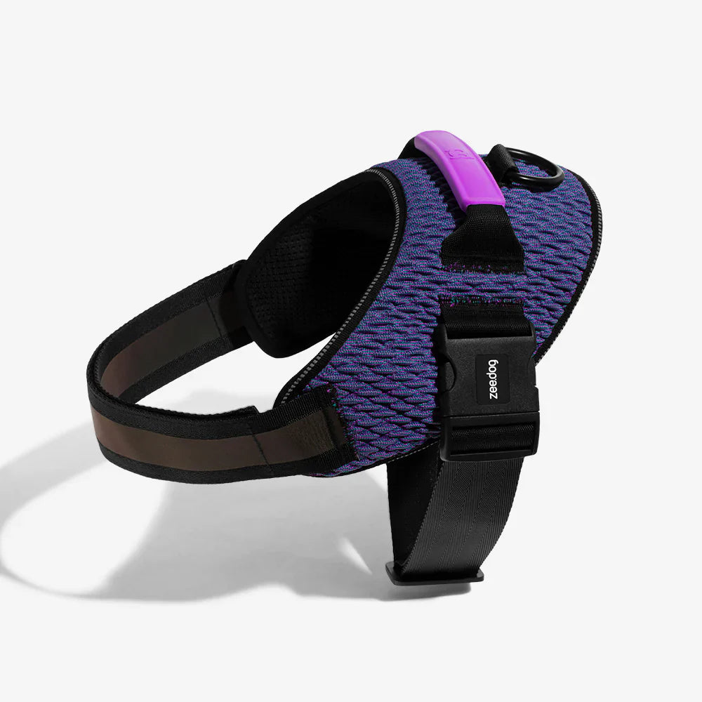Zee.Dog Wicked FlyHarness