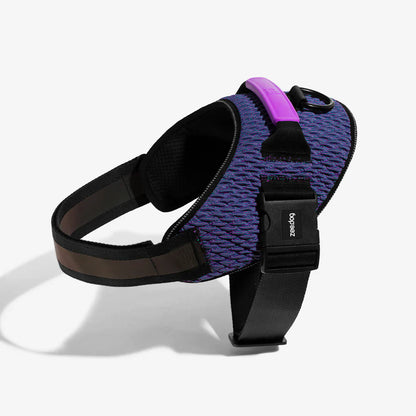 Zee.Dog Wicked FlyHarness
