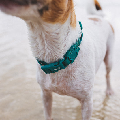 Zee.Dog Neopro Amazonia Dog Collar