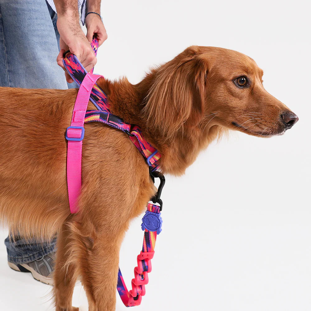 Zee.Dog Glitch SofterWalk Harness - Error #500