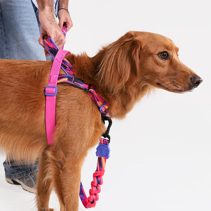 Zee.Dog Glitch SofterWalk Harness - Error #500