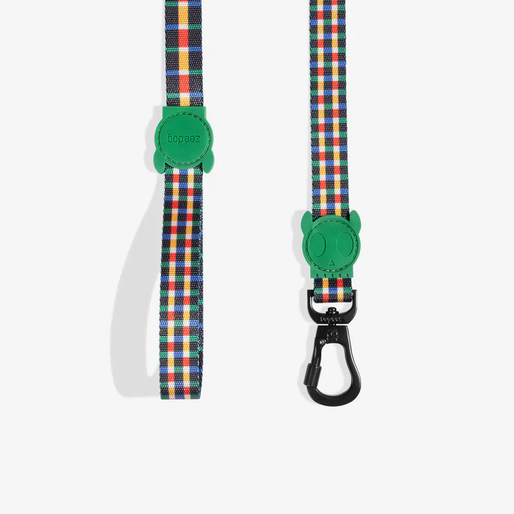 Colorful plaid dog leash with green clip on a white background
