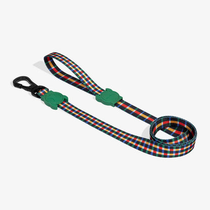 Plaid dog leash with green clip on a white background