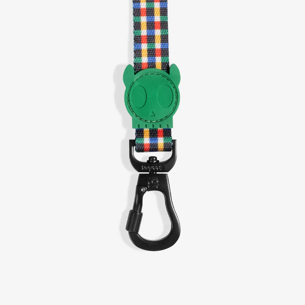 Dog leash with green clip and colorful plaid pattern on a white background